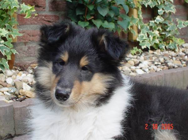 abbey-19-021005