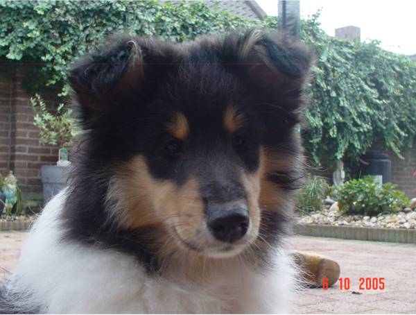 abbey-21-061005