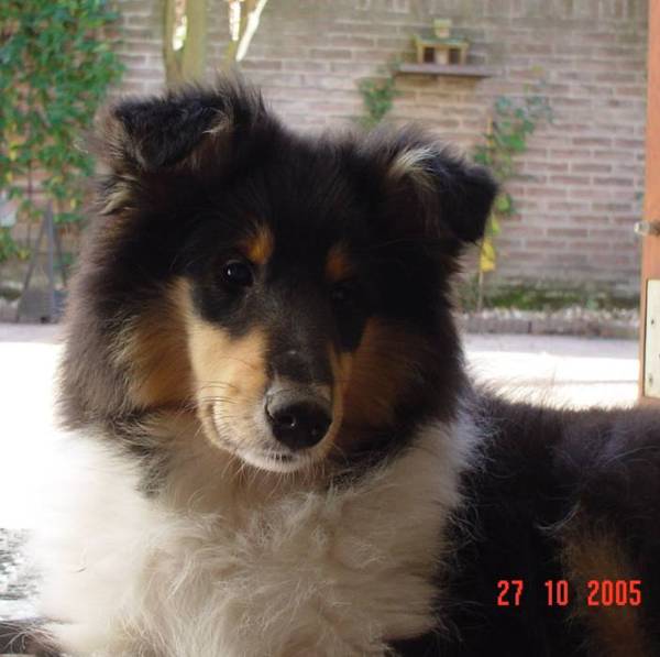 abbey-24-271005
