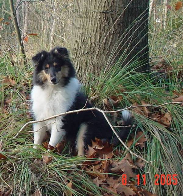 abbey-29
