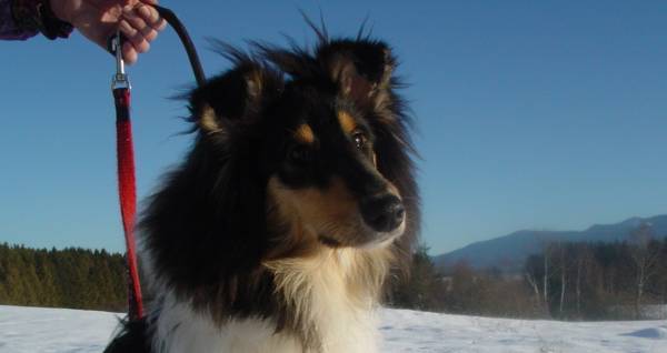 abbey-wintersport-2