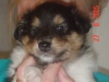 abbey-10-270805
