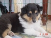 abbey-11-060905