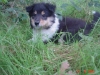 abbey-13-110905