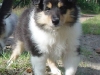abbey-15-170905