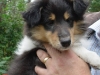 abbey-17-250905