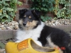 abbey-18-021-05