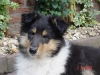 abbey-19-021005