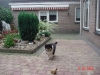 abbey-20-021005