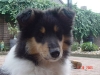 abbey-21-061005