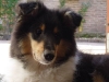abbey-24-271005