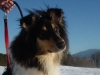 abbey-wintersport-2