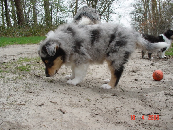 foto-12-kopie