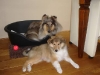 0609-angy-en-xara_0