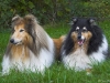 061008-de-2-oudjes