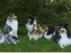 061008-hele-clan_0