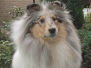 Mable