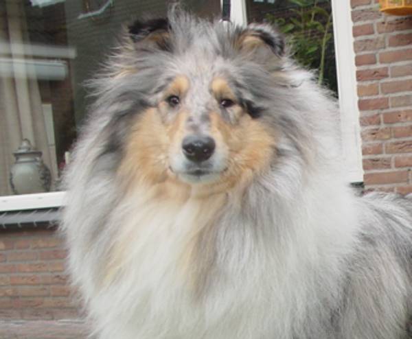mabe-01-2005-2