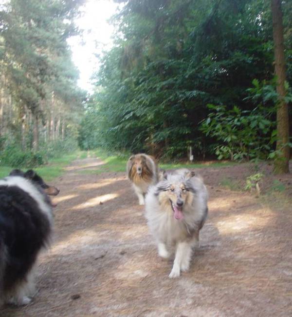 mable-bos-09-2004
