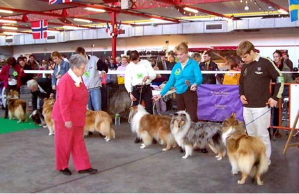 mable-show-mouscron-2005