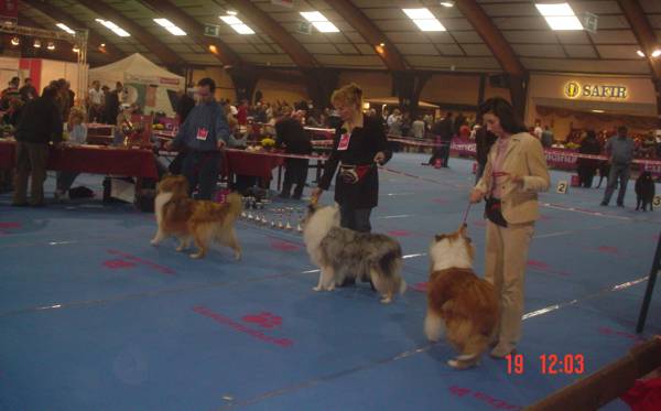 mable-show-wieze-1