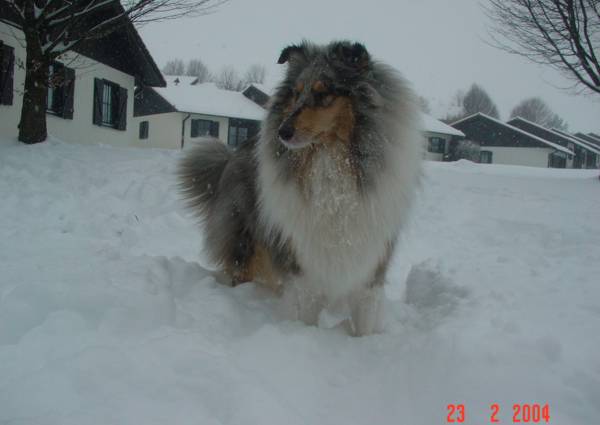 mable-sneeuw-1