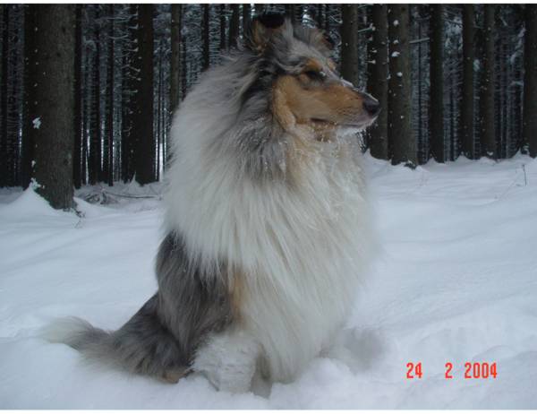 mable-sneeuw-2