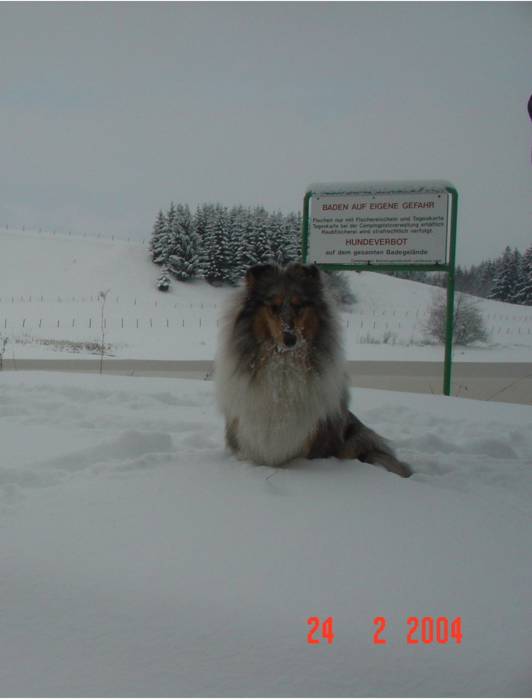 mable-sneeuw-4