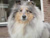 mabe-01-2005-2