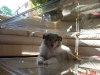mable-16-15-06-03