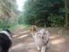 mable-bos-09-2004