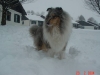 mable-sneeuw-1