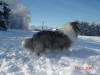 mable-sneeuw-3
