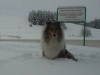 mable-sneeuw-4