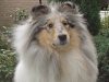 mable-voorpagina-schotse-h