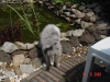 xmable-13-14-06-03