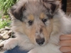 xmable-19-22-06-03