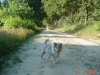 xmable-21-13-07-03
