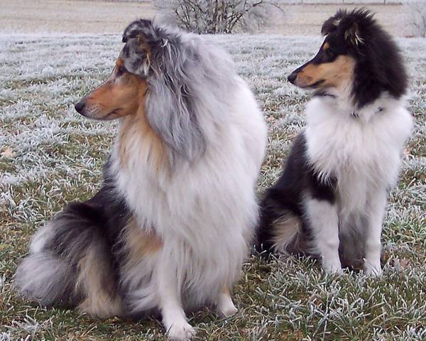 xmable-31-februari-2006