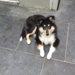 1406 - Laddy 1