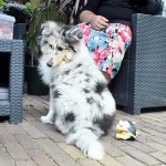 150614 - Skye 3