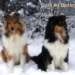 1012 - Cody en Bexley