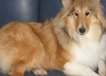 101201 - Flynn
