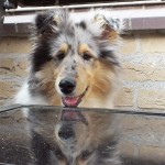 210614 - Paco 2