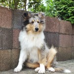 210614 - Paco 3