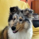 210614 - Paco 4