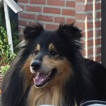 DSCF5301