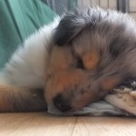 DSCF5837