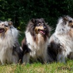 IMG_7260_laag1