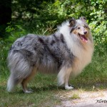 IMG_7385_laag1